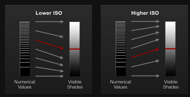 Red iso speed revisited