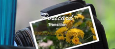 postcard-transition