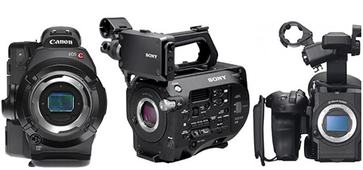Le capteur des Canon C300 et Sony FS5 / FS7 ont des capteurs de surface Super 35mm, d’une qualité exceptionnelle: sensibilité, grain, piqué, et dépourvu des défauts liés aux Reflex.