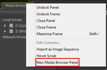 NewMediaBrowserPanel