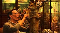 Deyrolle : papillons rares et animaux de savane