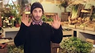 L'épicerie végétale, bio et bon !