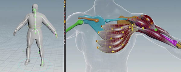 Houdini 16 améliore ses capacités en rigging et animation de personnages...