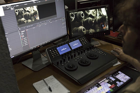 Nos formations DaVinci Resolve sont organisées dans une salle dédiée : lumière du jour, projection 4K, monitoring HDR, surfaces de contrôle et claviers dédiés, sondes et stockage partagé...